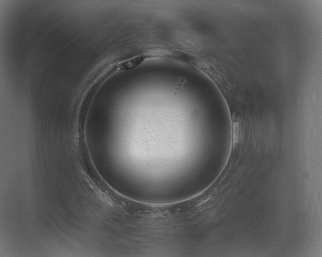 X0000075330243200609081105