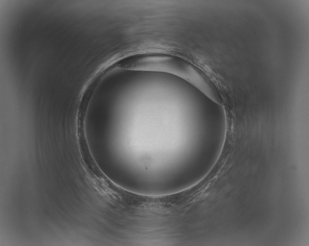 X0000075330244200609081105