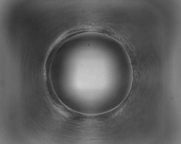 X0000075330246200609081105