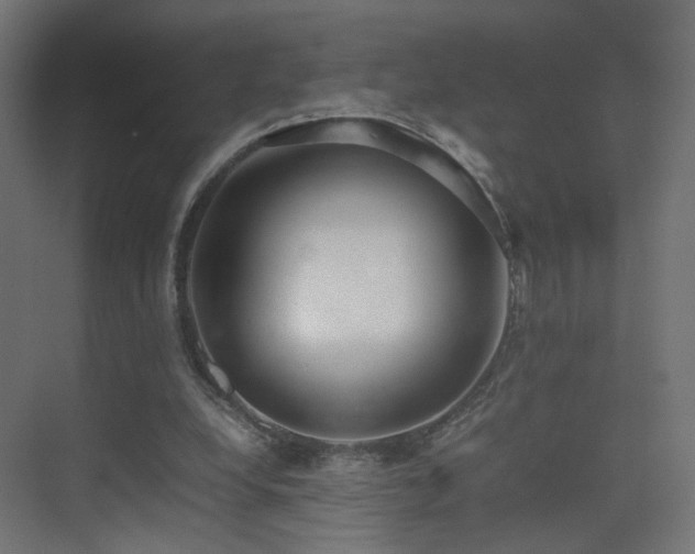 X0000075330248200609081105