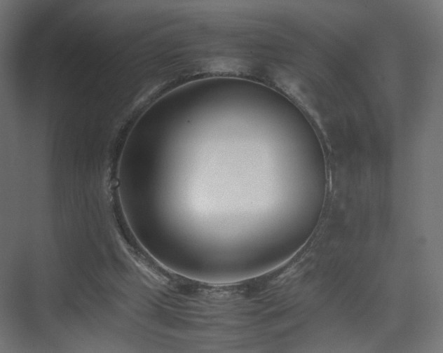 X0000075330249200609081105