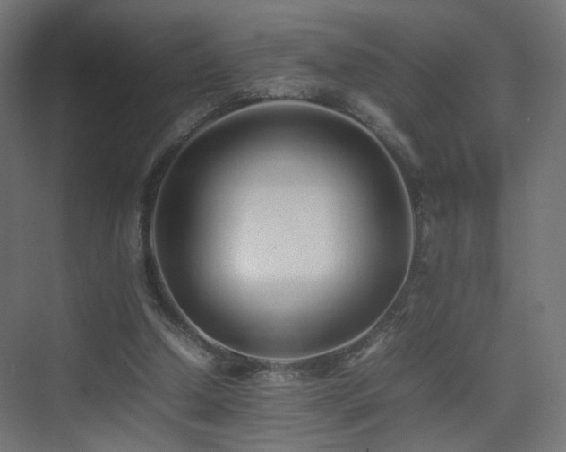 X0000075330250200609081105