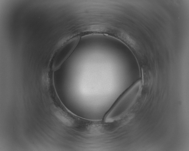 X0000075330252200609081105