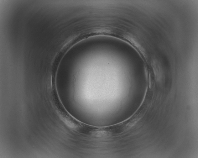 X0000075330253200609081105