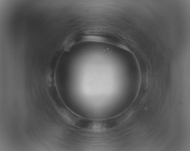 X0000075330264200609081105
