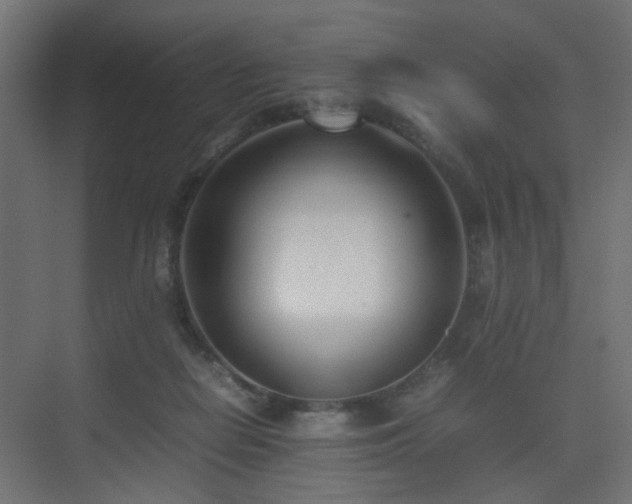 X0000075330266200609081105