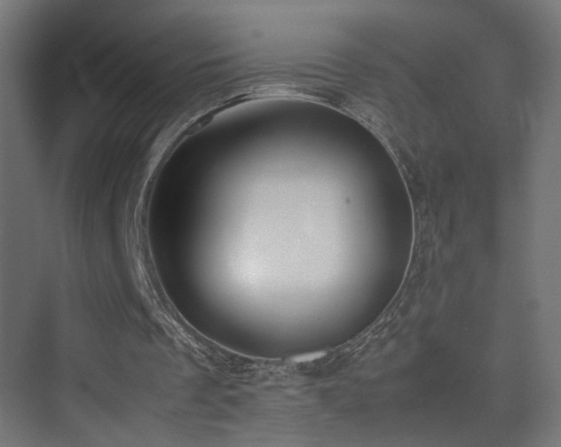 X0000075330289200609081105