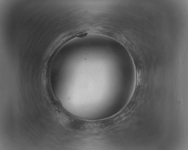 X0000075330291200609081105