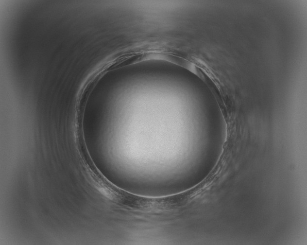 X0000075330293200609081105