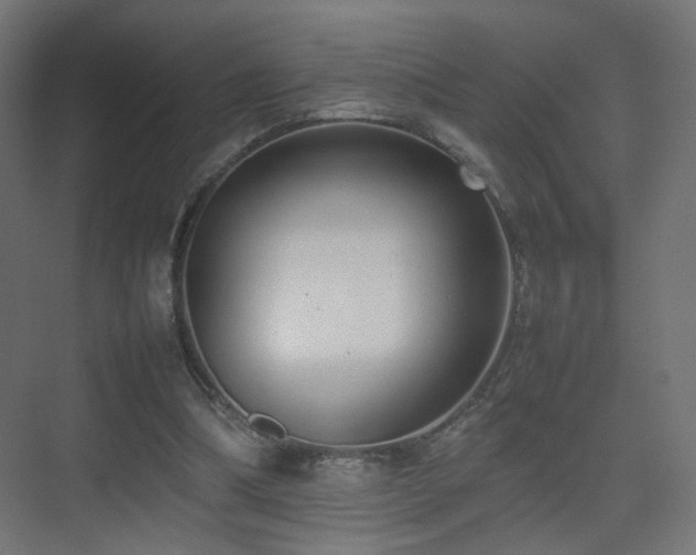 X0000075330298200609081104