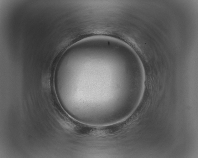 X0000075330299200609081104
