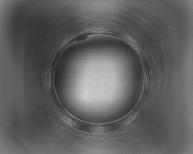 X0000075330301200609081104