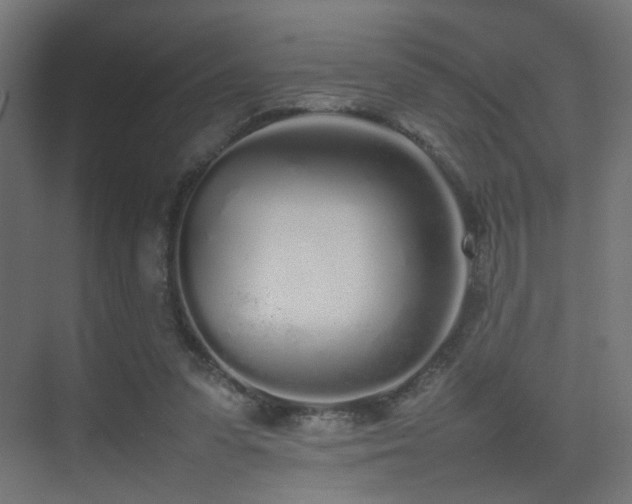 X0000075330303200609081104