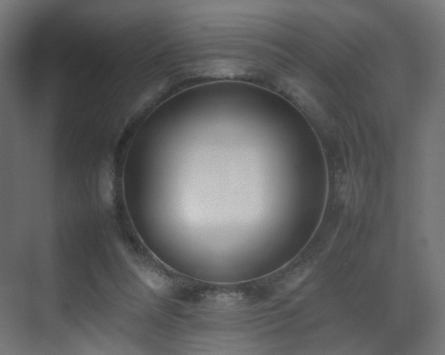 X0000075330304200609081104
