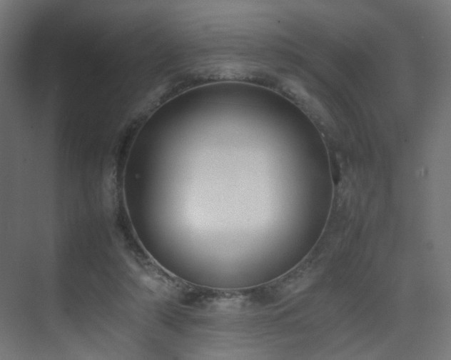 X0000075330306200609081104