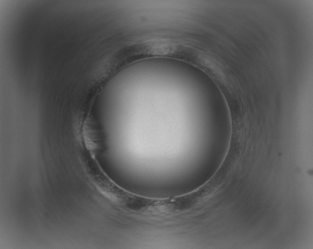 X0000075330307200609081104