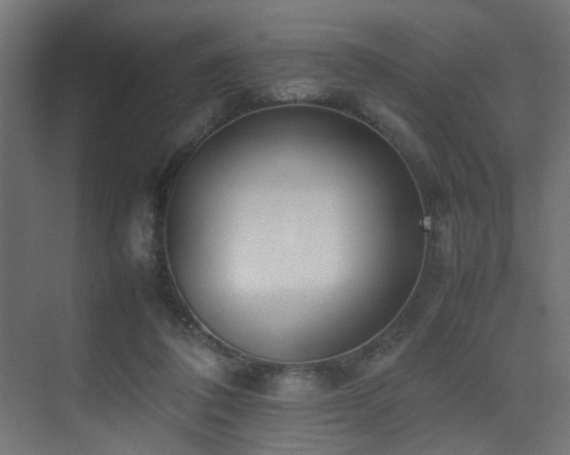 X0000075330308200609081104