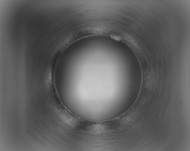 X0000075330310200609081104