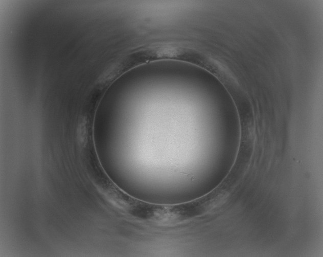 X0000075330311200609081104