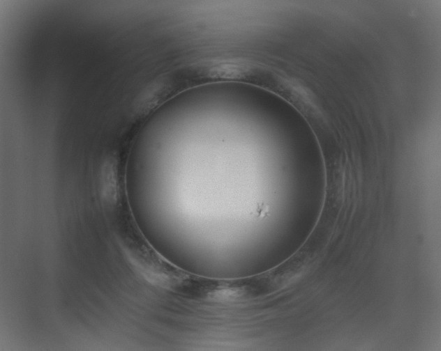X0000075330312200609081104