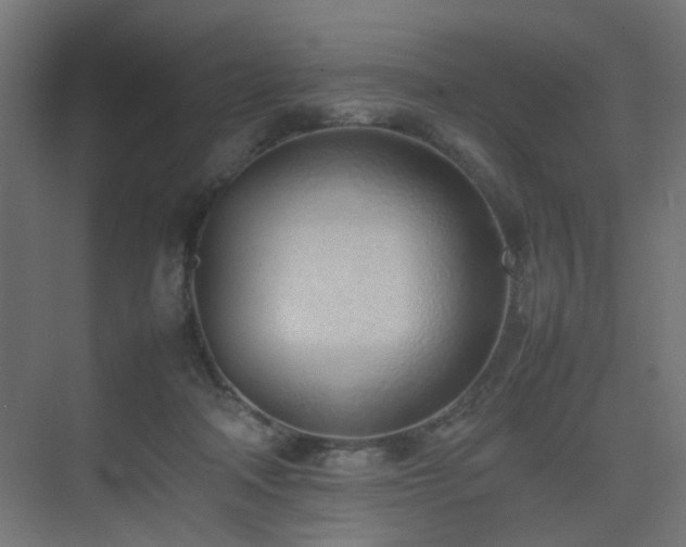 X0000075330314200609081104