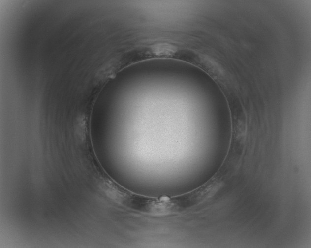 X0000075330321200609081104