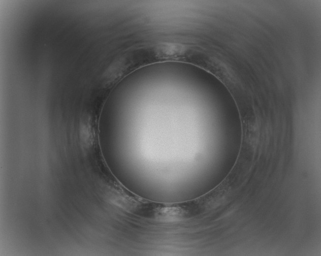 X0000075330324200609081104