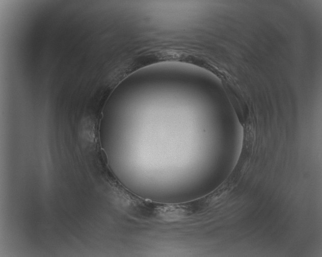 X0000075330331200609081104