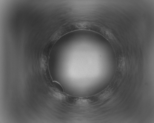 X0000075330332200609081104