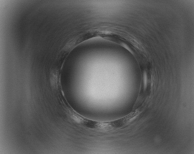 X0000075330333200609081104
