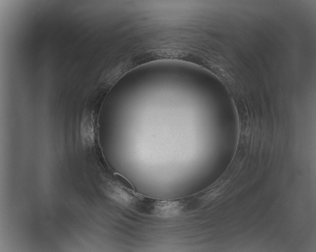 X0000075330334200609081104
