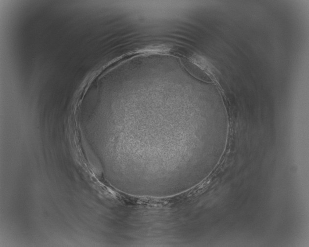 X0000075330337200609081103