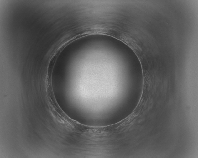 X0000075330338200609081103