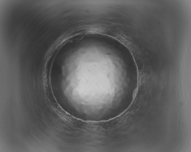 X0000075330339200609081103