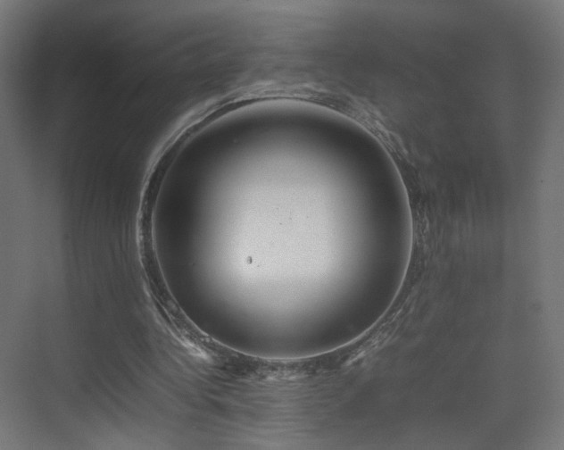 X0000075330340200609081103