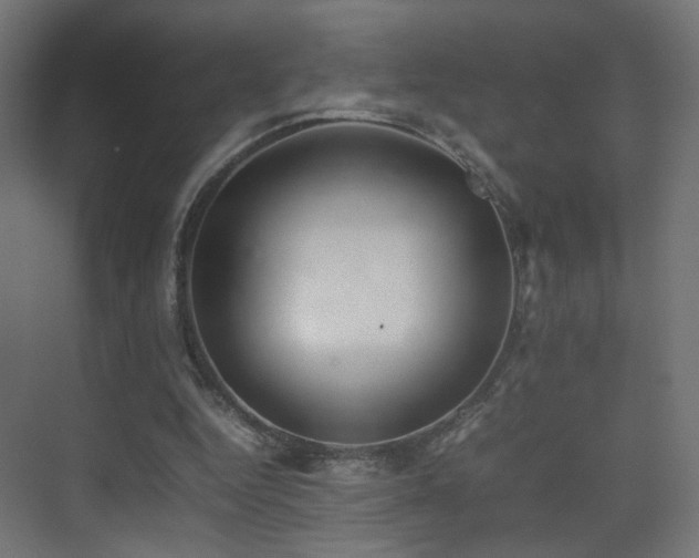 X0000075330344200609081103