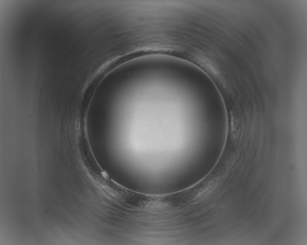 X0000075330348200609081103