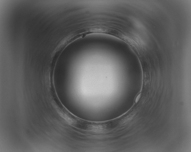X0000075330349200609081103