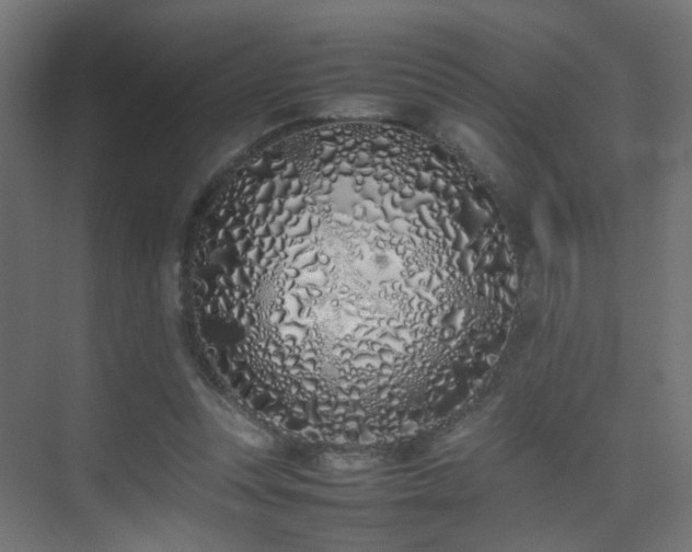 X0000075330351200609081103