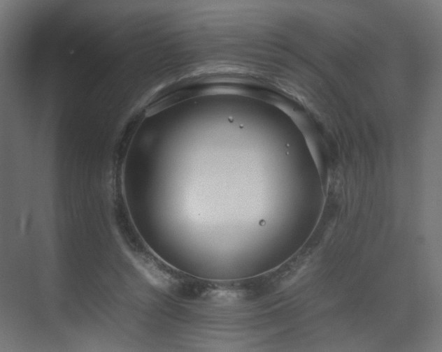 X0000075330352200609081103