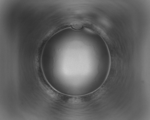 X0000075330354200609081103