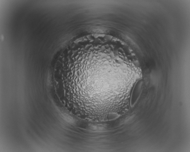 X0000075330359200609081103