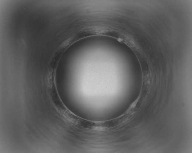 X0000075330360200609081103