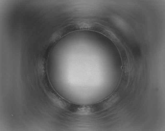 X0000075330362200609081103