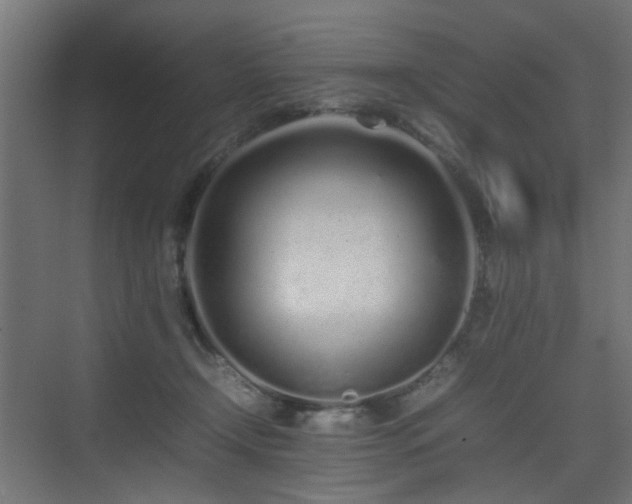 X0000075330366200609081104