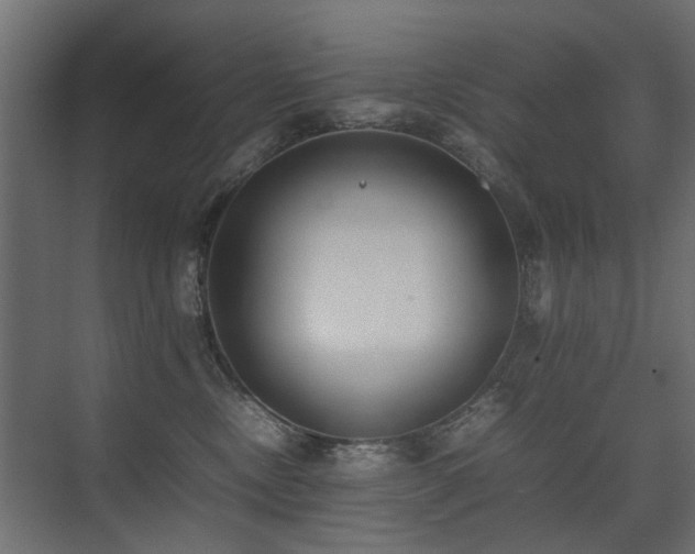 X0000075330378200609081104