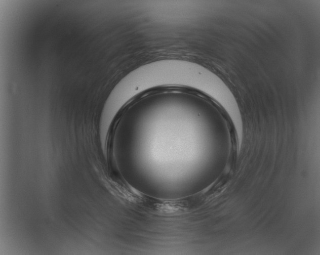 X0000075330380200609081104