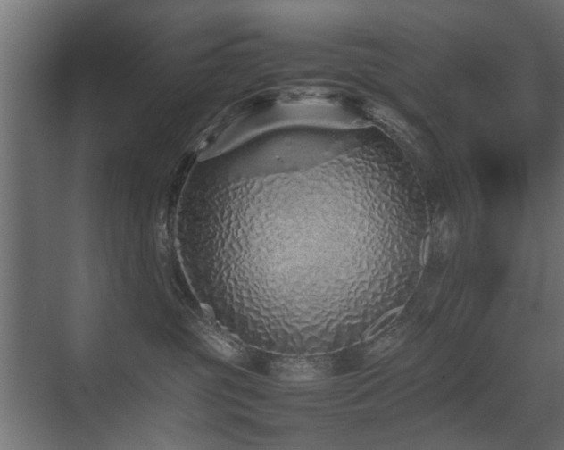 X0000075330381200609081104