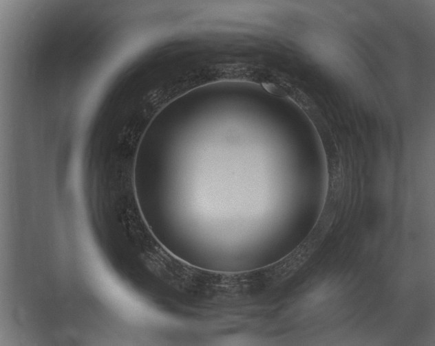 X0000075330383200609081104