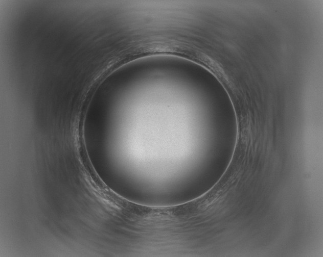 X0000075330386200609081103